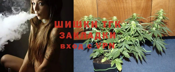 ГАЛЛЮЦИНОГЕННЫЕ ГРИБЫ Бугульма