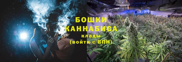 хмурый Бронницы