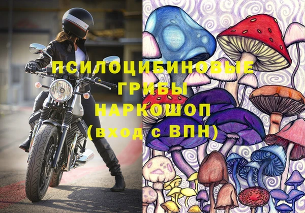 хмурый Бронницы