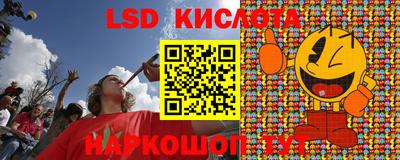 прущие грибы Апшеронск