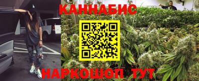 прущие грибы Апшеронск