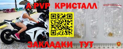 прущие грибы Апшеронск