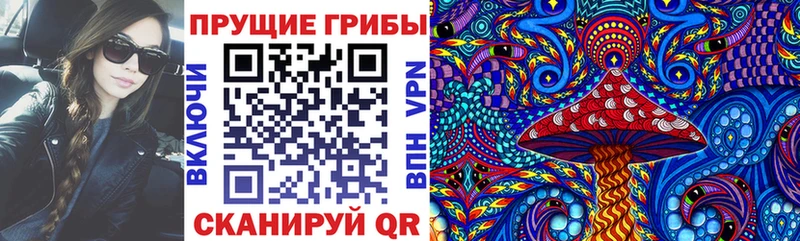 закладка  Бугульма  Псилоцибиновые грибы ЛСД 
