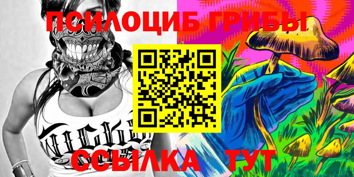 Галлюциногенные грибы Psilocybe Бугульма